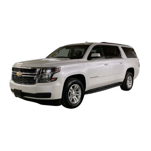 logo de frente vector (12)